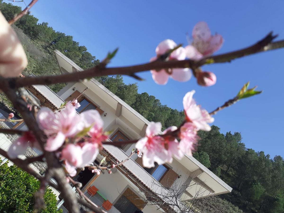 Kanushi House Gjirokastër Dış mekan fotoğraf